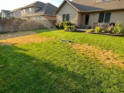 7 Lawn Watering Mistakes Killing Your Grass (and How to Fix Them)