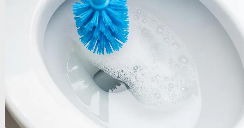 Close-up of toilet bowl being scrubbed.